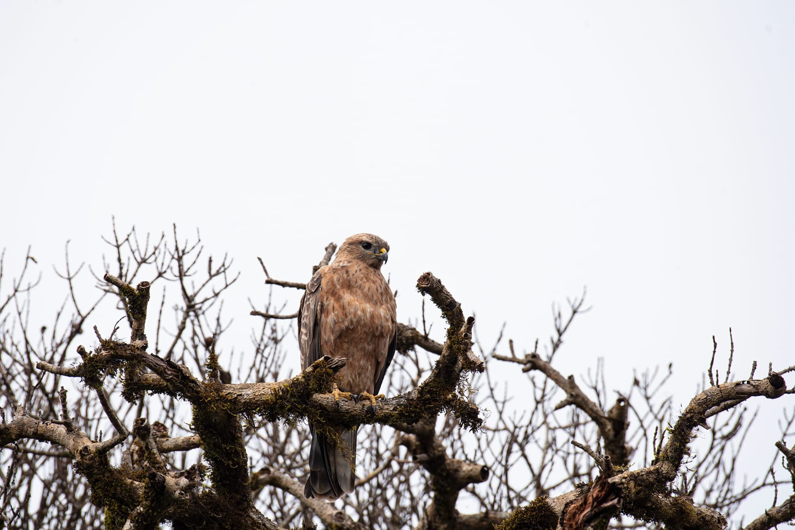 Bundala National Park view 4