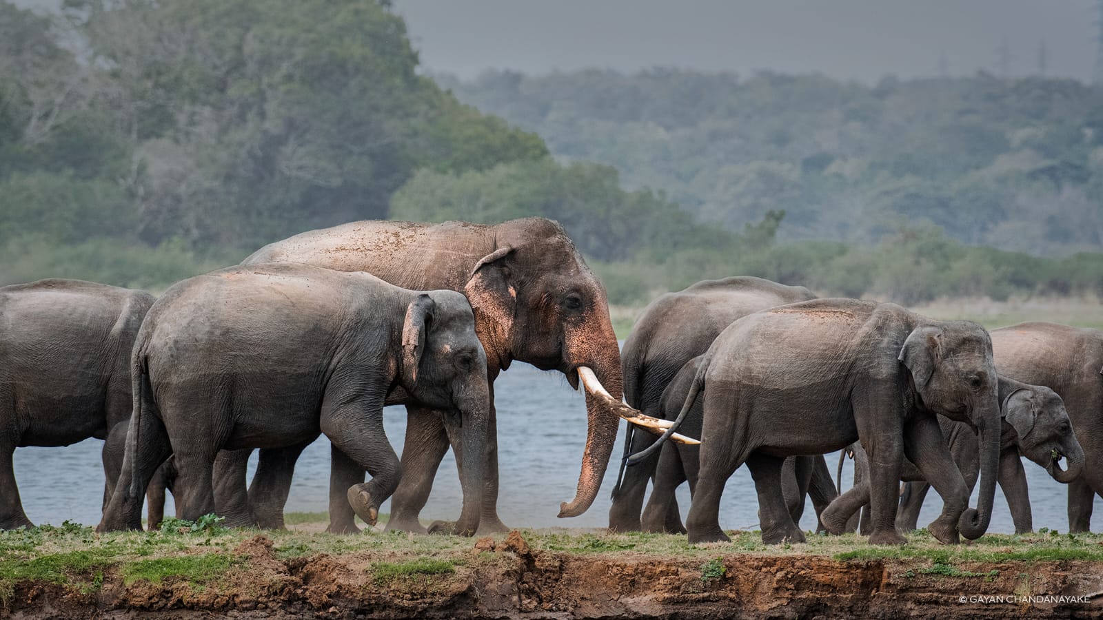 Bundala National Park view 9